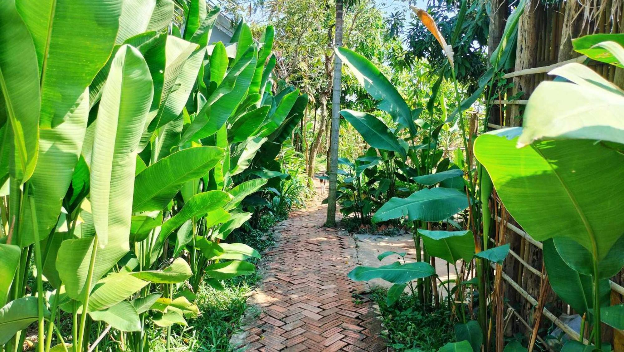 סיאם ריפ Urban Farmhouse מראה חיצוני תמונה